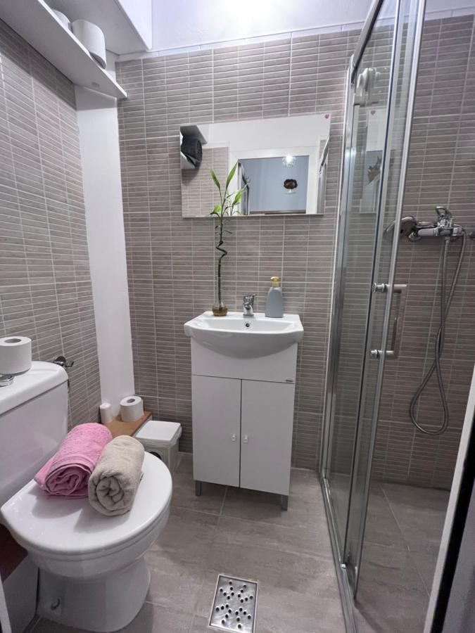 Downtown Apartment Тимишоара Экстерьер фото