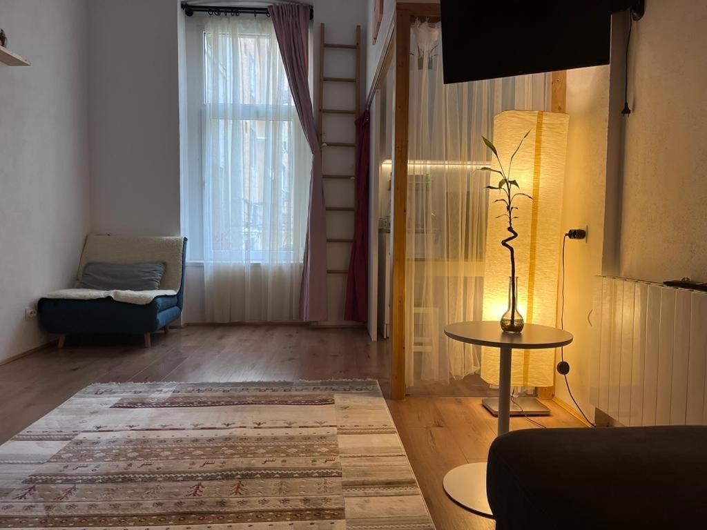Downtown Apartment Тимишоара Экстерьер фото