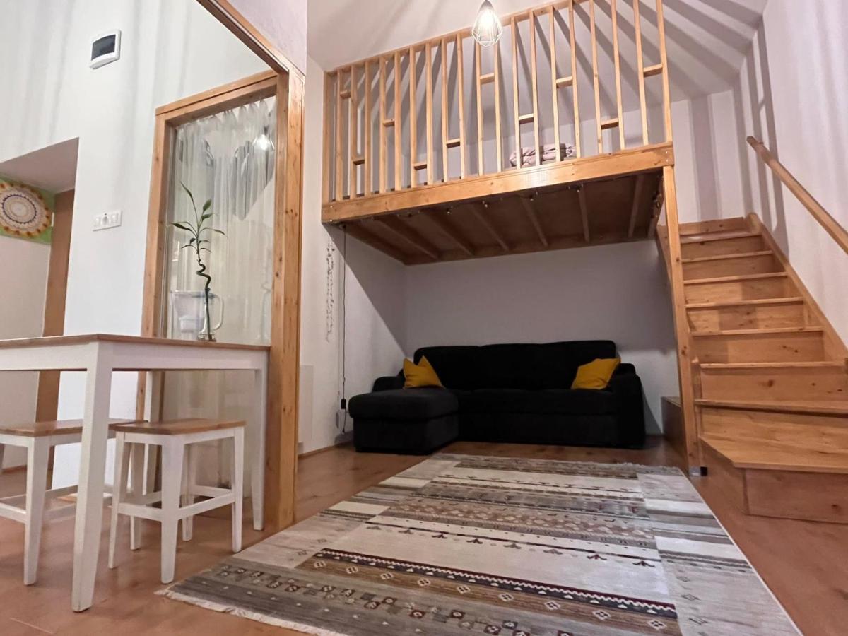 Downtown Apartment Тимишоара Экстерьер фото